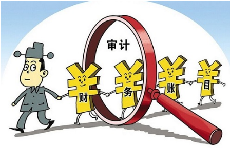政府采购审计的种类介绍.png