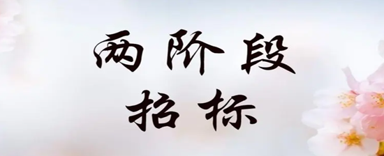 一次性招投标和两个阶段招投标.png
